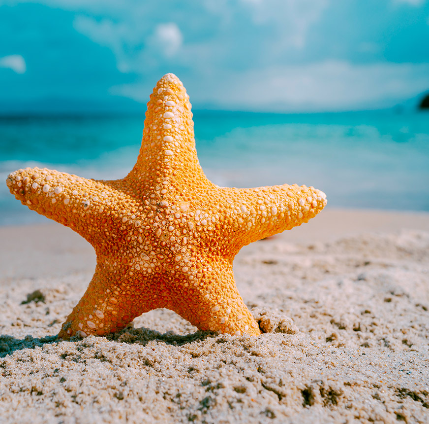 Alta Marea Appartamenti Lampedusa