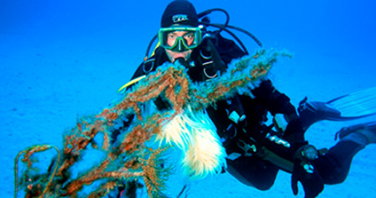 Snorkeling e Immersioni Lampedusa - Alta Marea Appartamenti